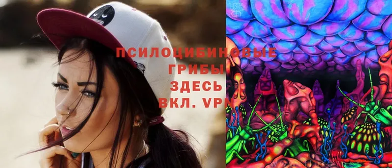 Галлюциногенные грибы MAGIC MUSHROOMS  Кинешма 